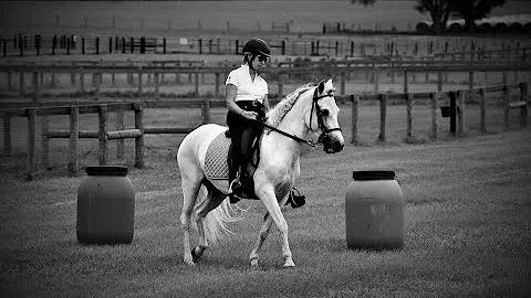 Drone Video of Dressage Test _ Karen Kraushaar Rid...