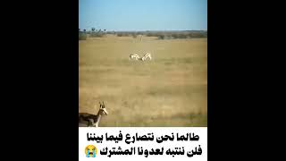 حقيقة الشعوب العربية