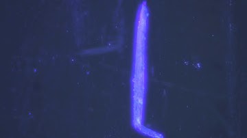 Extraordinary anisotropic thermal expansion in photosalient crystals