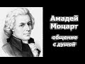 Амадей Моцарт общение с душой
