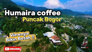Humaira Coffee || A Cozy Hangout Spot in Puncak Bogor That Makes You Want to Stay!! screenshot 4
