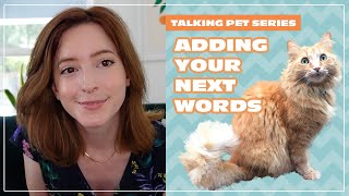 Adding Your Next Words | Talking Pet Series