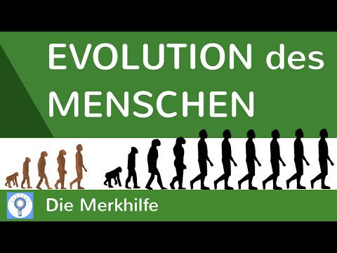 Deutschland in der Urzeit: Die ersten Menschen Doku (2020)