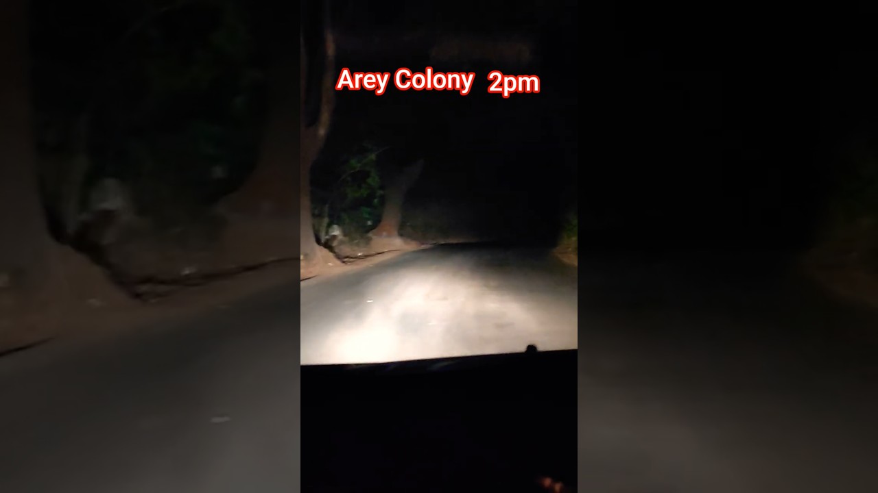 Aarey colony Night 2pm... 💀👽 
