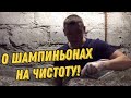 Рыхление компоста для шампиньонов. НОВАЯ РУБРИКА! Лайфхаки для грибоводов!