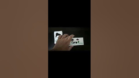 GeeksForGeeks Technical Scripter 2020 Goodies