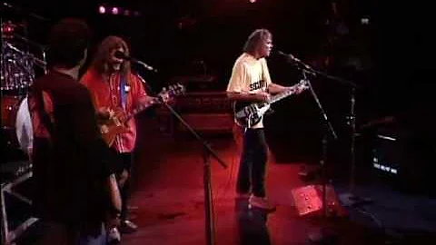 Neil Young and Crazy Horse - Farmer John (Live at Farm Aid 1994)