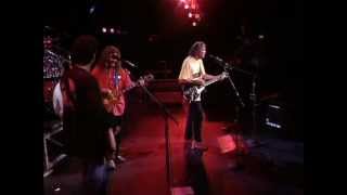 Neil Young and Crazy Horse - Farmer John (Live at Farm Aid 1994) chords