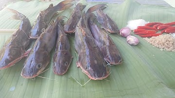 CÁ LĂNG NƯỚNG MUỐI ỚT SIÊU CAY DÂN DÃ MIỀN TÂY