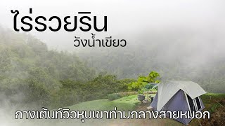 กางเต็นท์วังน้ำเขียววิวหุบเขาสวยท่ามกลางสายหมอกแน่นๆ | ไร่รวยริน | พาลูกเที่ยว | Camping in Thailand