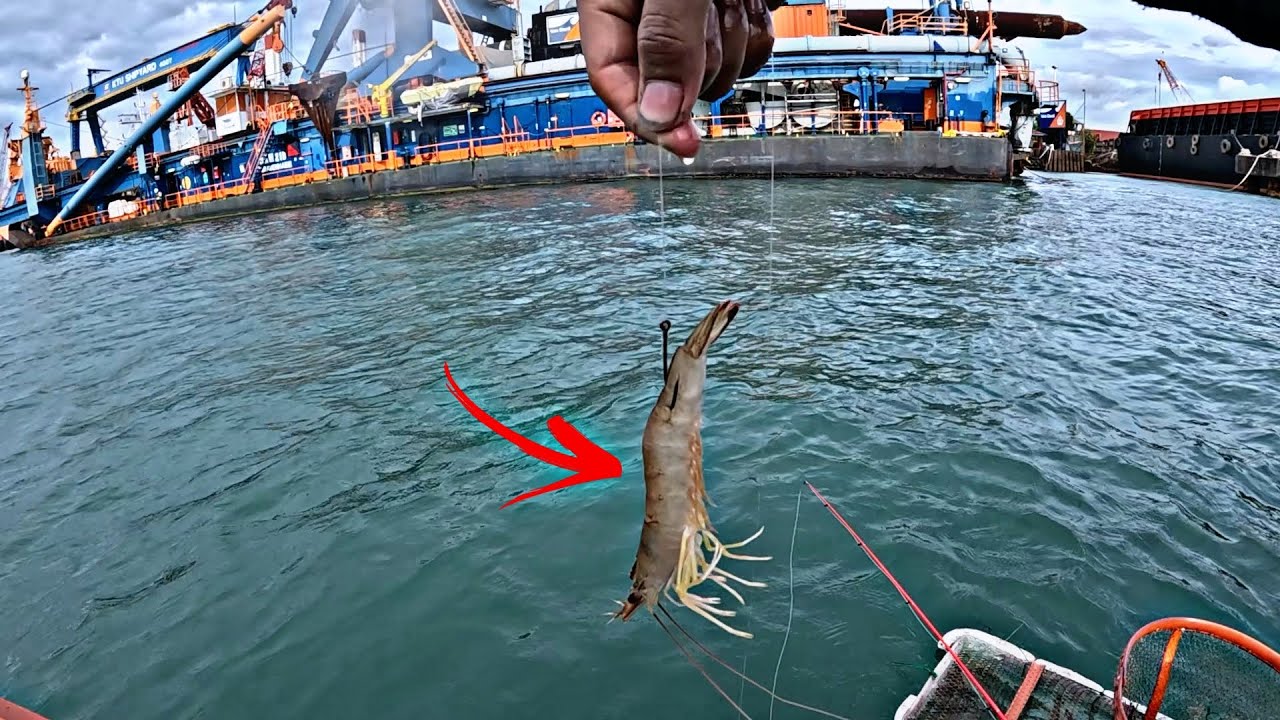 Pokoknya yakin kalok mancing pakai umpan ini