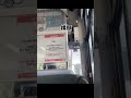 乗客居ないと勘違いして大熱唱する路線バスの運転手#shorts