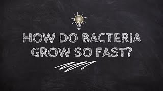 How Do Bacteria Grow So Fast? | Breakthrough Junior Challenge 2025