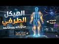الهيكل الطرفي في 20 دقيقة شرح عبقري بالرسوم يفهمك الدرس بسهولة م أحمد ربيع