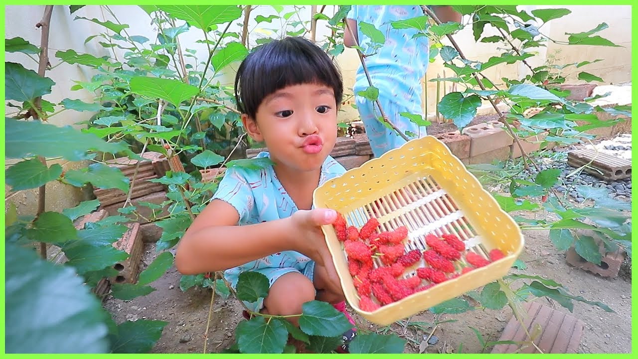 หนูยิ้มหนูแย้ม | ไปเก็บมัลเบอร์รี่