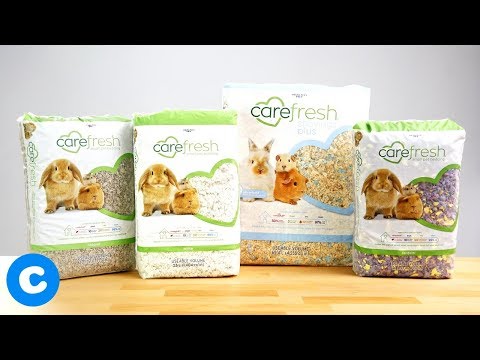 Carefresh Small Animal Bedding | Chewy