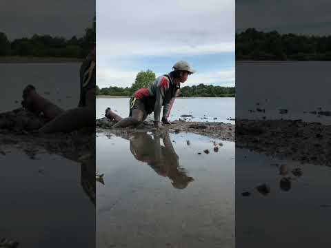 Mencari kepiting🦀🦀🤤 #kalimantan