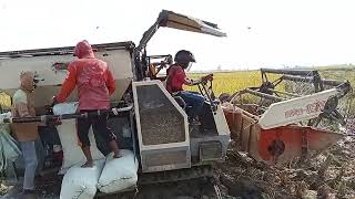 lumpur dalam gak jadi halangan, combine harvester Bimo Maxxi102 mantap#combineharvester#traktorquick