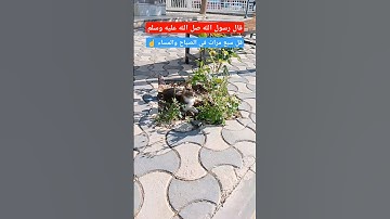 دعاء اذا قلته سبع مرات في الصباح والمساء #اذكار #اكسبلور #صلوا_على_النبي #لايك #قرآن #دعاء #اللهم