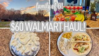 60 Weekly Walmart Haul