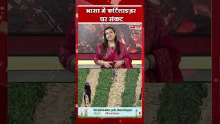 भारत में फर्टिलाइज़र पर संकट ! #fertilizer #manure #urea #narture #global #market #update #war