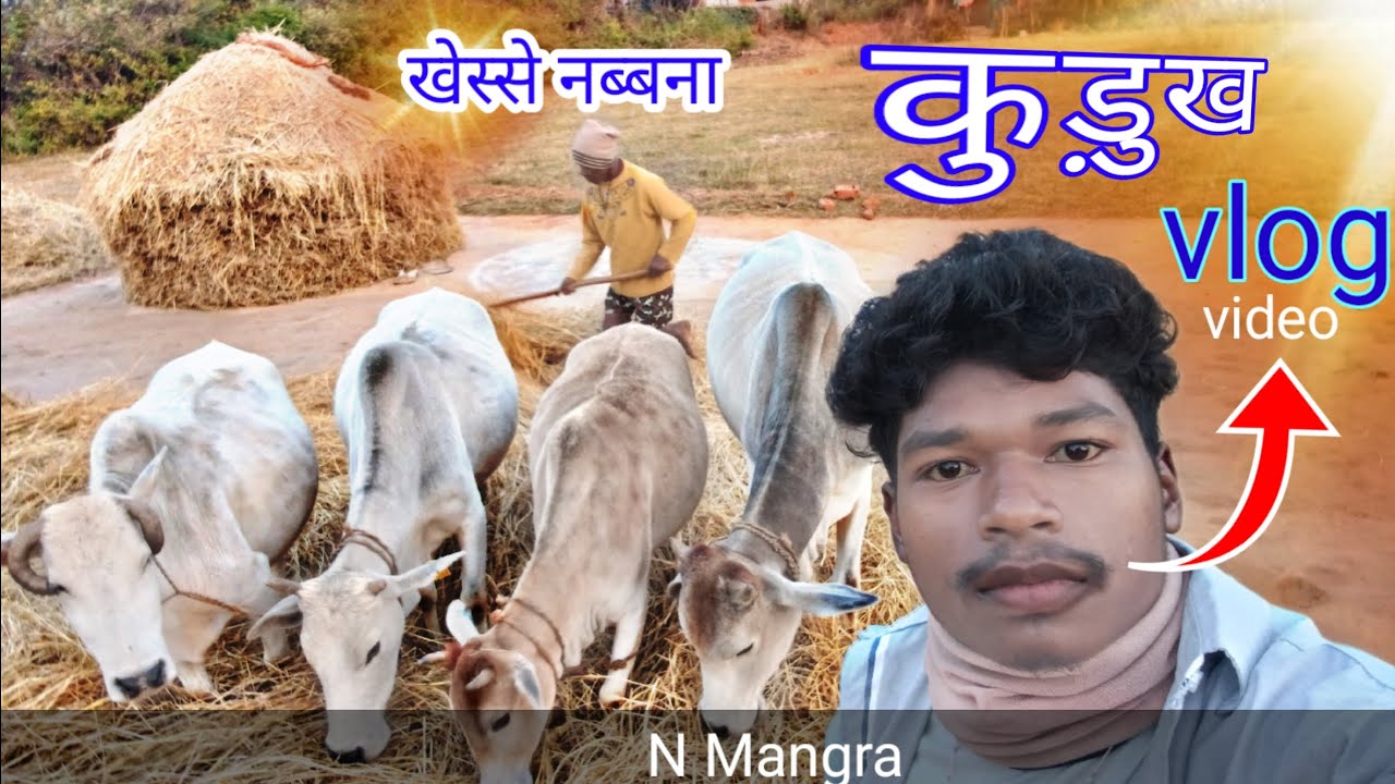 Kurukh Video N Mangra Ka🌾(खेस्से नबना कुड़ुख वीडियो)My First Kurukh Vlog Video N Mangra Ka Kurukh 😂