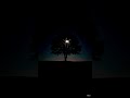 Night Feel 🌙 🌃 🌉#viral #trending #shorts #ytshorts