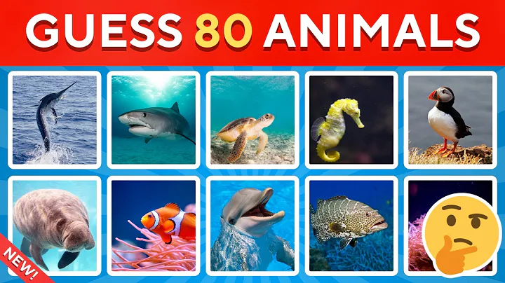 Guess the SEA ANIMAL! 🌊🐠 | 80 Ocean Creatures Quiz Challenge
