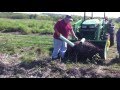 Making repairs to the food forest