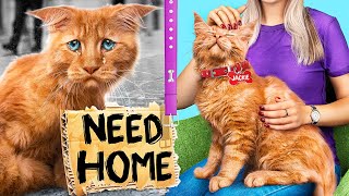 Casa Per Animali INSOON Con Luci – 1425 Pezzi, Modello Con Gatti E Cani, Kit Da Costruzione Per Adulti E Bambini