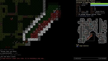 Octopode Wizard of Nemelex Part 9 - Dungeon Crawl Stone Soup