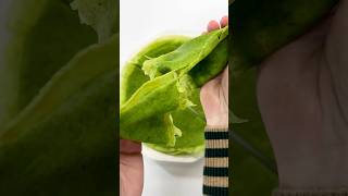 Spinach crepes with crispy edges 💚