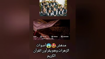 أصوات الزهرات وهم يقرأون القرآن الكريم