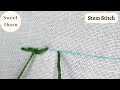Stem Stitch