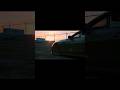 Mustang GT Car Shorts Viral Trending Youtube 