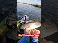Winter time Trout Fishing! #fishing #fishingvideo #shorts #fishinglife