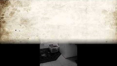 Segregation   Medium