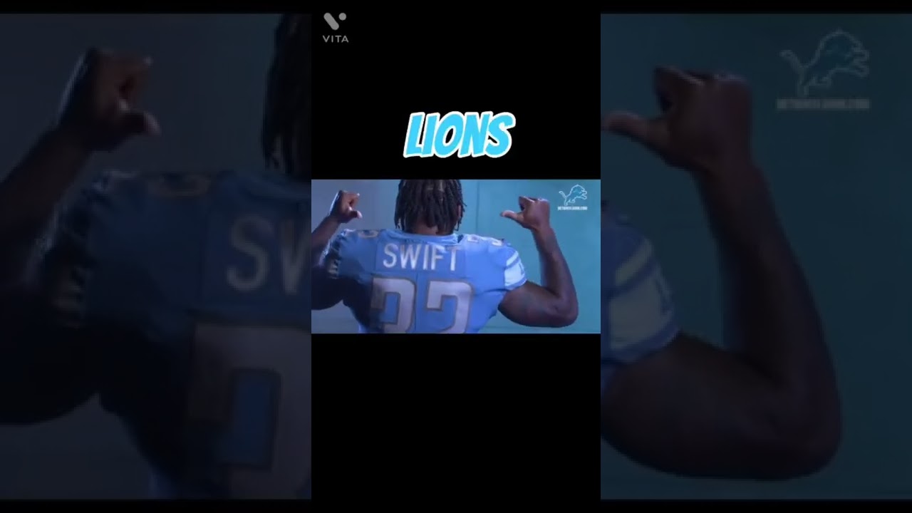 Most Devoted NFL Fanbases PART 2 🤠✌️