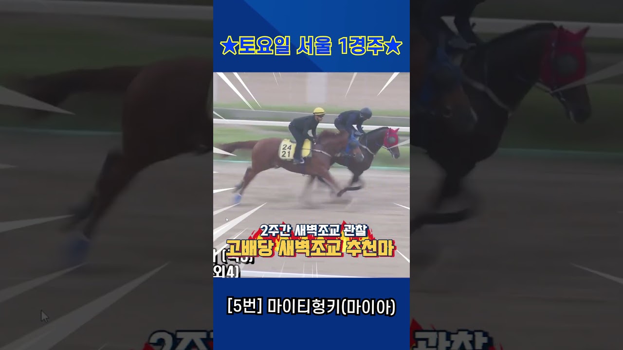 7월25일 토요일 서울 1경주!! 2주간 훈련보인 강백호의 새벽조교 쏘스마!!