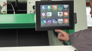 AMD wheat color sorter/sorting machine