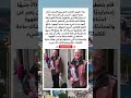 قصص قصص واقعية ابلور حيوانات عجائب غرائب كلاب كلب خيل خيول طبيعة قطط حصان قطة فرس 