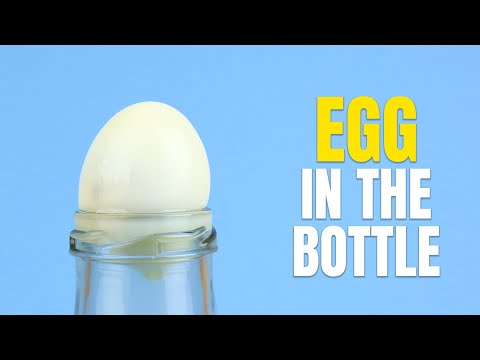 Video: Hur Man Lägger Ett ägg I En Flaska