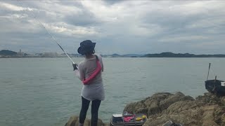 신안 압해도 내만 닭머리섬 포인트 감성돔낚시!! 마릿수로 최고 포인트~ (ft.해성골드낚시)
