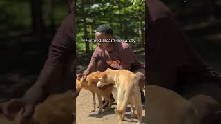 10shares=a chance to a meal of dog food,DONATE PLEASE