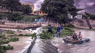 Massive Spillway Cleanup in the Storm! Clearing a Giant Water Hyacinth Blockage 🌿🌊 screenshot 4