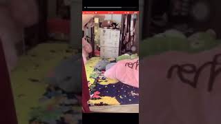 Cùng Ngắm Gái Xinh 12 Vitamin Girl