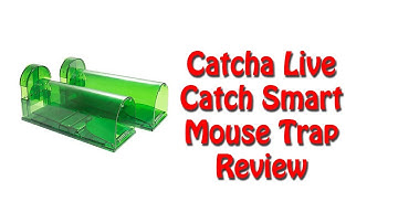 Catcha Humane Live Catch Smart Mouse Trap [2018 Review]