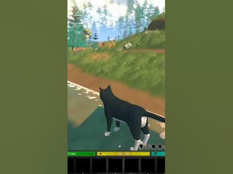 How to catch this fishcat? - YouTube