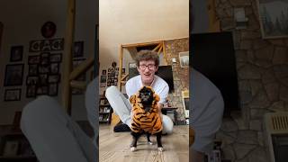 Famous TIGER PUDDIN 🐯❤️ Net Worth