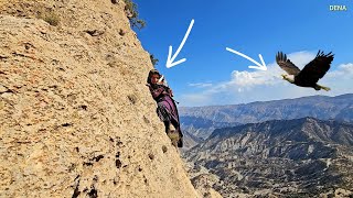 Download Lagu 😡⛰️ Bazegasht's endless cruelty to Kulthum: A difficult journey to the mountains for the pomegranate MP3 Download Lagu 😡⛰️ Bazegasht's endless cruelty to Kulthum: A difficult journey to the mountains for the pomegranate MP3